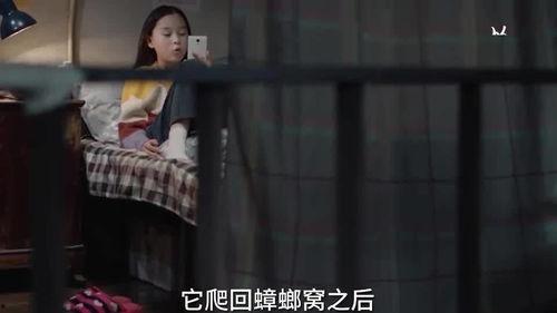 三姐姐爆料视频大全下载,揭秘幕后真相，带你走进娱乐圈风云