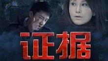 证据电视剧在线观看,揭开真相的悬疑之旅  第2张