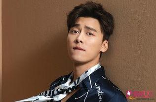 替身爆料李易峰视频播放,揭秘明星幕后替身生活  第3张