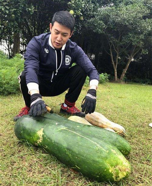 新泰大瓜爆料视频,揭秘惊人内幕，真相令人震惊！