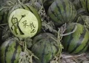 新泰大瓜爆料视频,揭秘惊人内幕,真相令人震惊! 第2张 新泰大瓜爆料视频,揭秘惊人内幕,真相令人震惊! 第2张