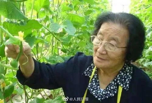 全娱乐圈听我心声吃大瓜,全娱乐圈听我心声，大瓜连连爆出！  第3张