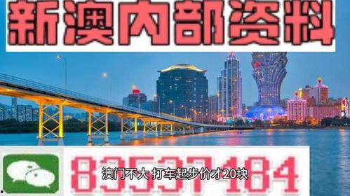澳门爆料视频,一窥繁华背后的真实景象