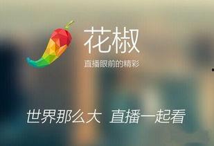 花椒大爆料原声视频大全,原声视频大全精彩瞬间回顾  第3张