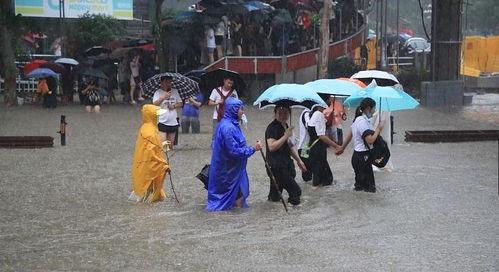 抗洪在线观看,见证英勇抗洪，共筑安全防线