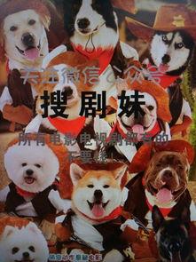 异类之血精灵在线观看,探寻神秘血脉的奇幻之旅