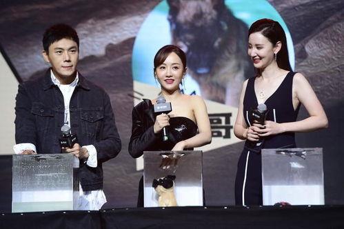 中国娱乐圈吃瓜合集,揭秘中国娱乐圈吃瓜合集 第3张 中国娱乐圈吃瓜合集,揭秘中国娱乐圈吃瓜合集 第3张