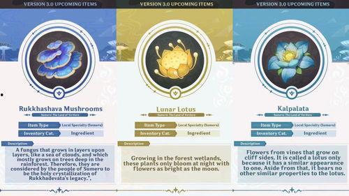 草神身份最新爆料,揭开神秘面纱背后的传奇故事 第3张 草神身份最新爆料,揭开神秘面纱背后的传奇故事 第3张