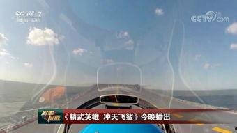 美国飞行员爆料视频下载,美国飞行员爆料视频内容大揭秘